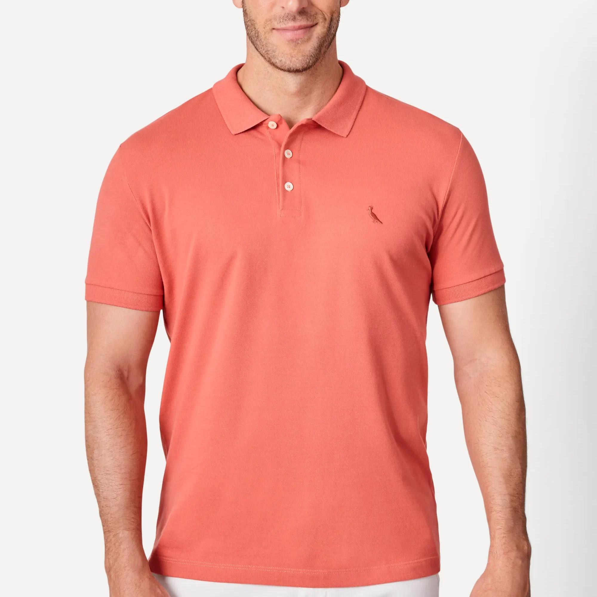 POLO MASC PIQUET