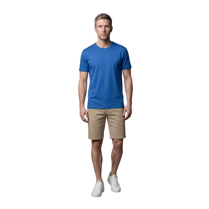 CAMISETA REGULAR VENTO